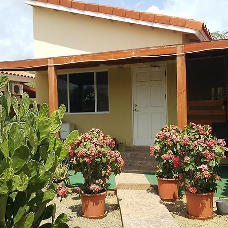 Bubali Studio Palm Beach Exterior foto